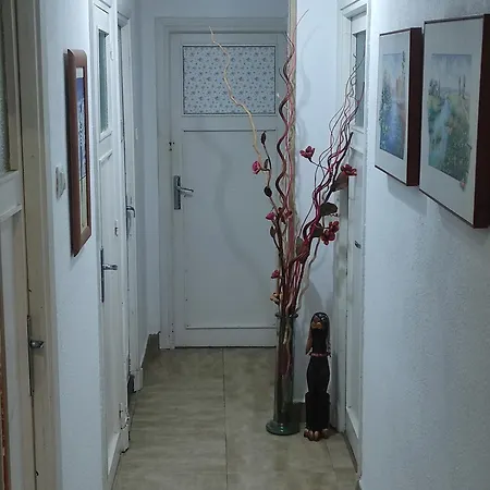 Apartamento Por Meses En *